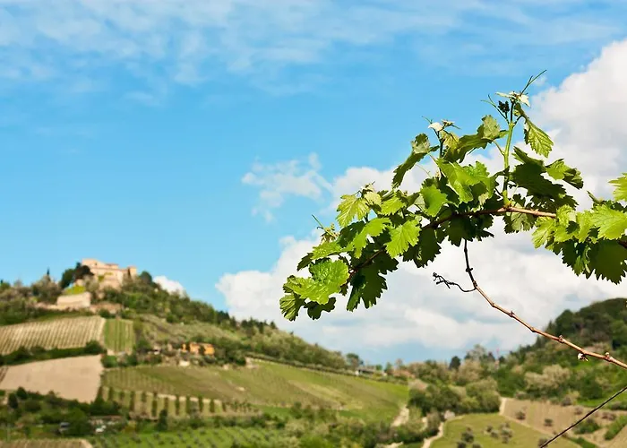 Farm stay Tenuta Diavoletto