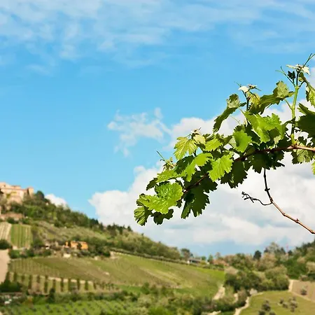 Gospodarstwo agroturystyczne Tenuta Diavoletto