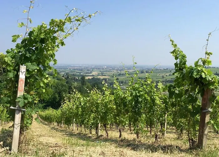 Tenuta Diavoletto بيرتينورو