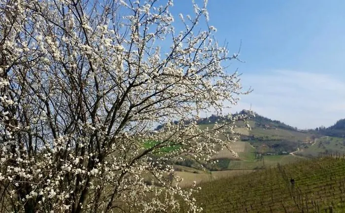 Tenuta Diavoletto بيرتينورو
